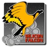 CEF Silicon Falcon